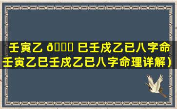 壬寅乙 🐋 巳壬戍乙已八字命（壬寅乙巳壬戍乙已八字命理详解）